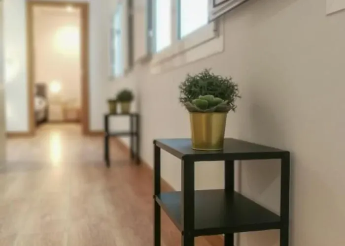 Vandrerhjem Castilho 63 & Lisboa